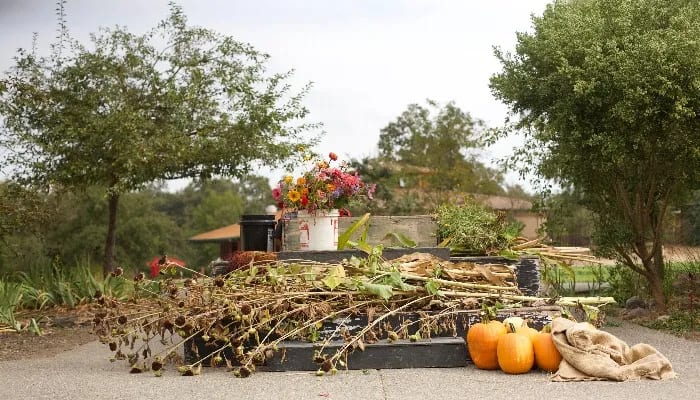 garden-based learning