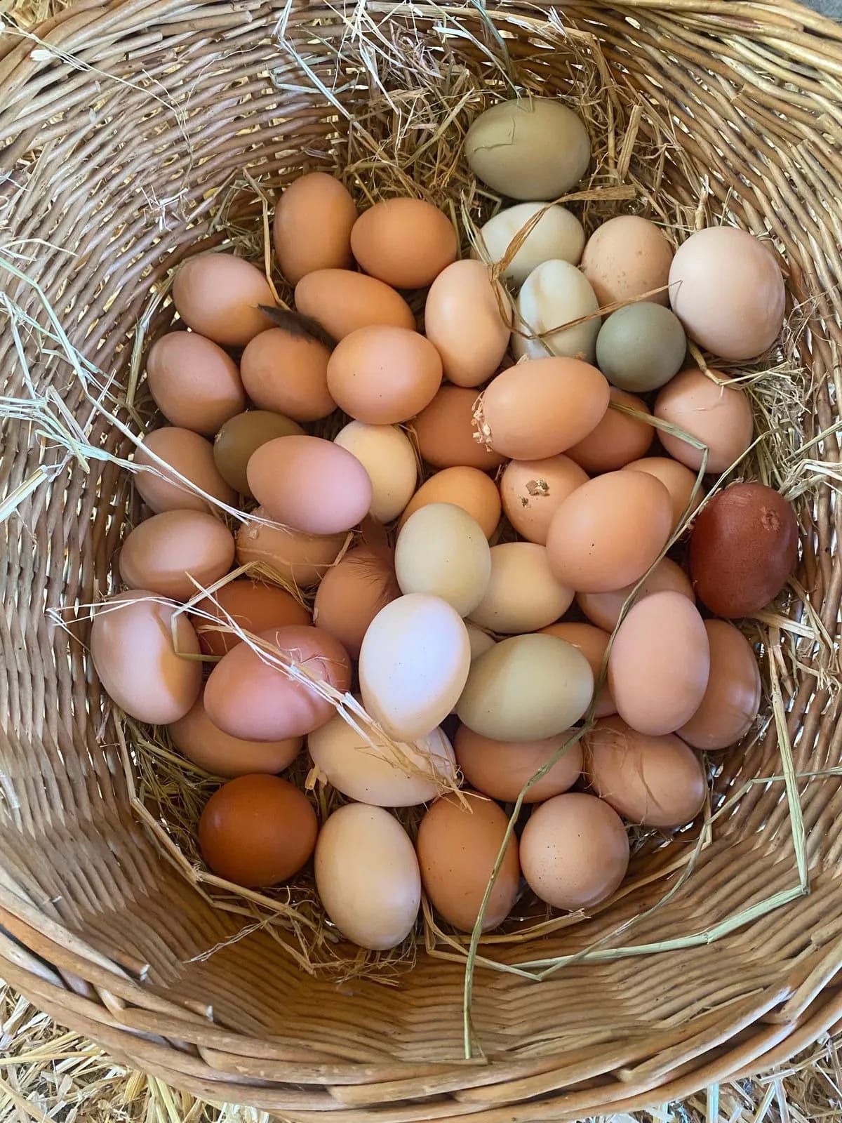 garden-based learning