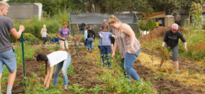 The Academic Benefits of Gardening