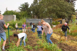 The Benefits of Garden-Based Learning_HS Garden
